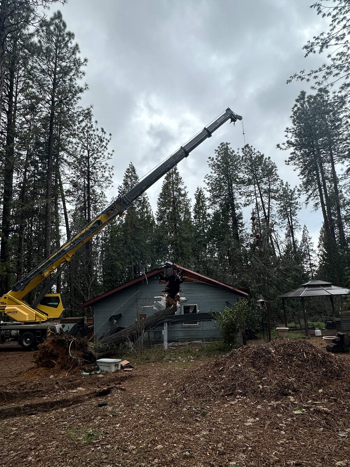 Crane emergency tree removal in Auburn CA
