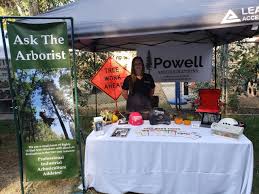 Tree service Auburn home and garden