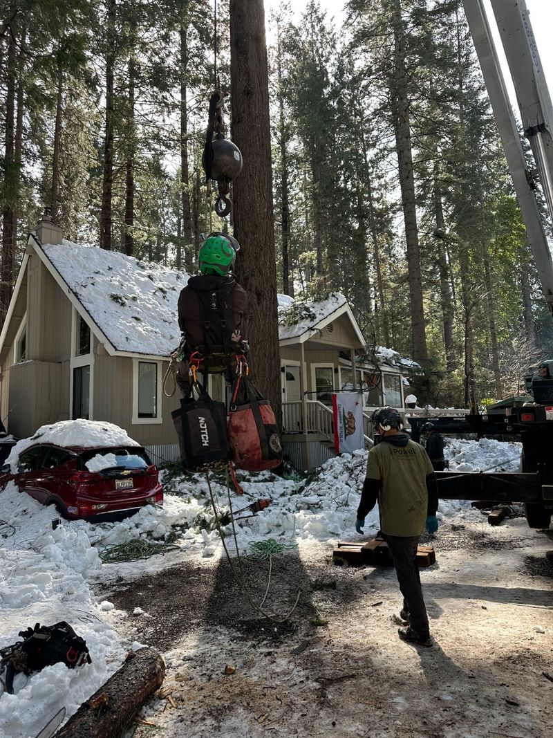 Powell Arbor Solutions crew performing a crane-assisted tree removal at a snow-covered home after a winter storm