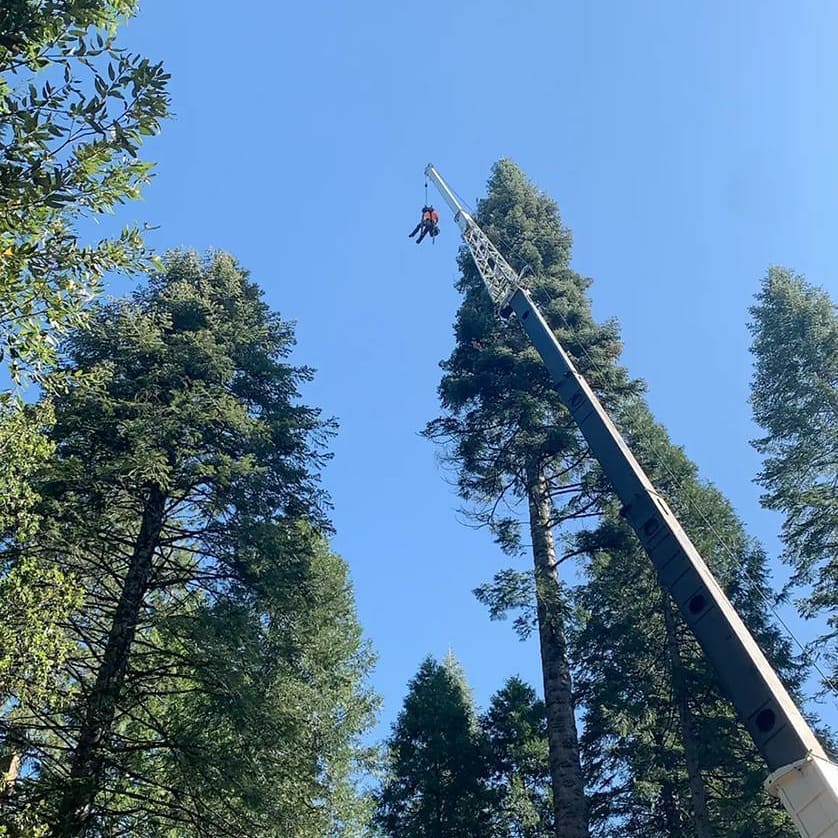 David Powell crane ride ground view