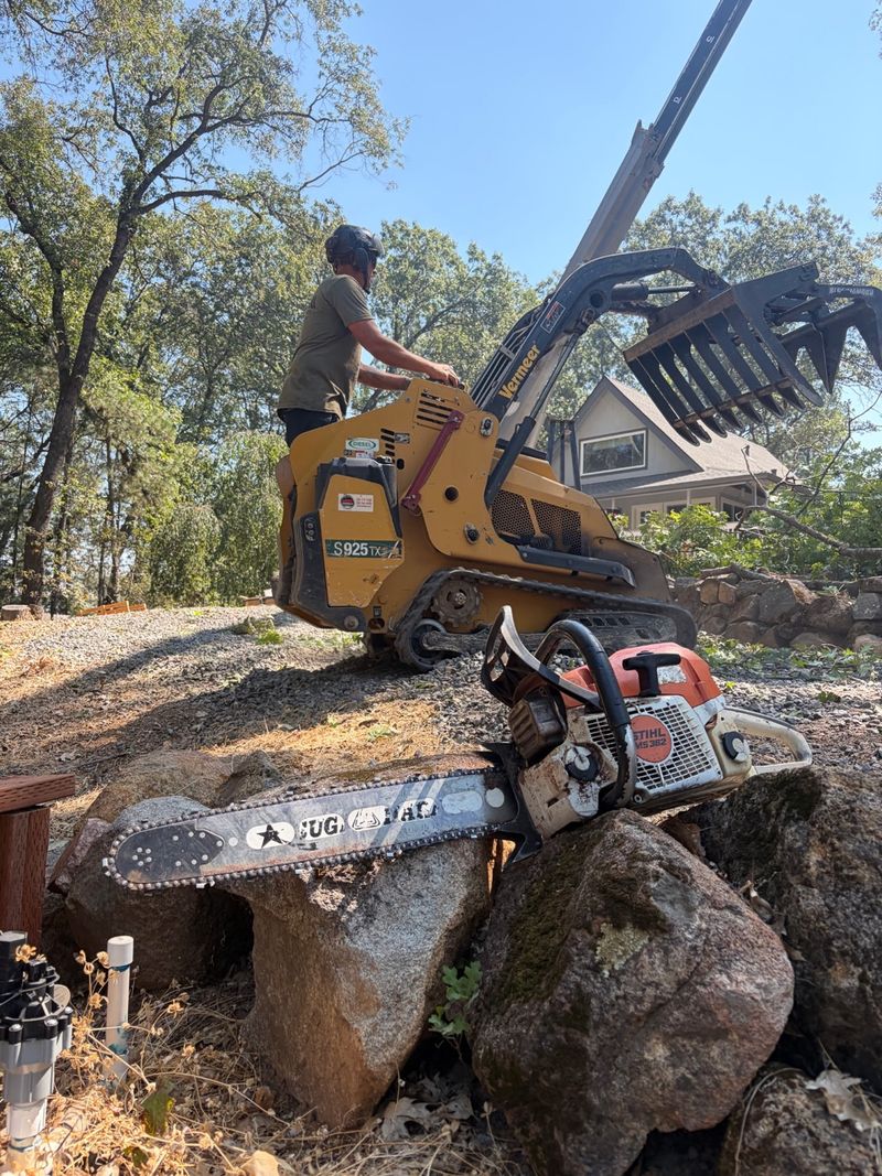 Mini skid steer with grapple attachment and professional chainsaw on a residential tree job
