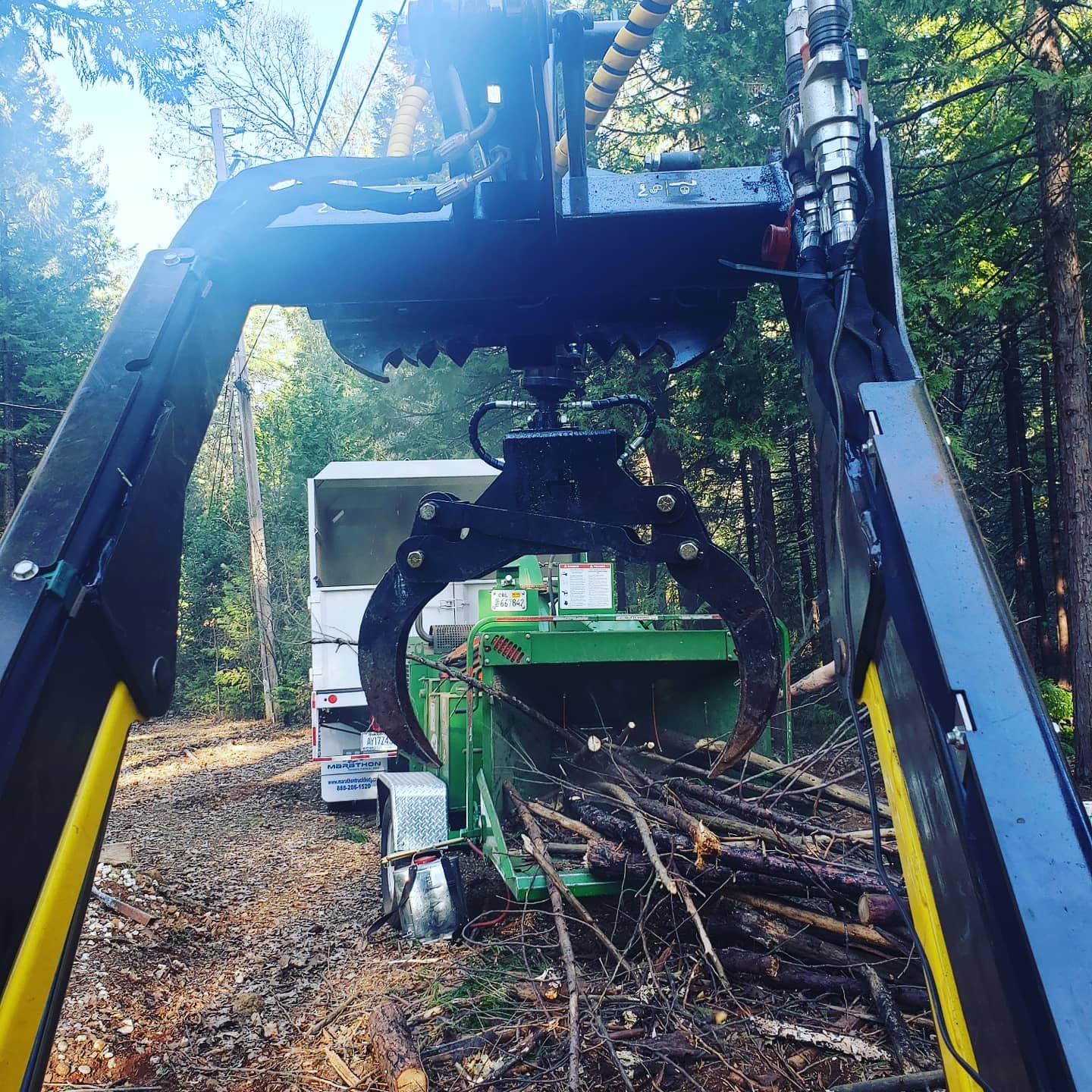 Equipment loading wood chipper Powell Arbor Solutions