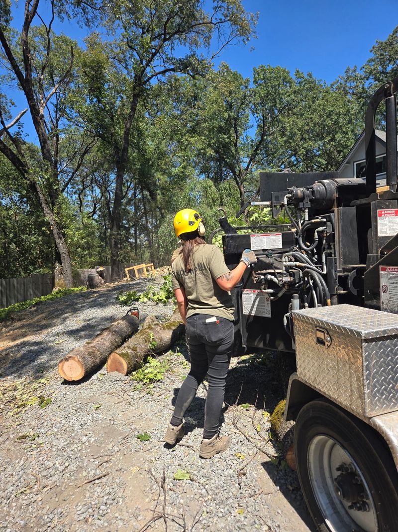 Powell Arbor Solutions crew member working at the wood chipper on a residential job site