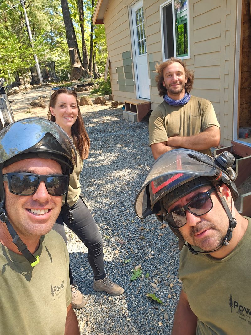 Powell Arbor Solutions professional tree care crew on the job