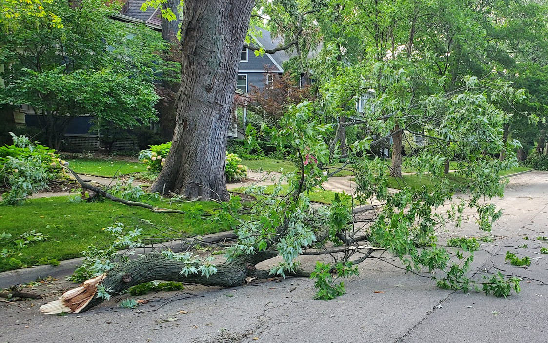 Storm damage cleanup Sierra Nevada foothills