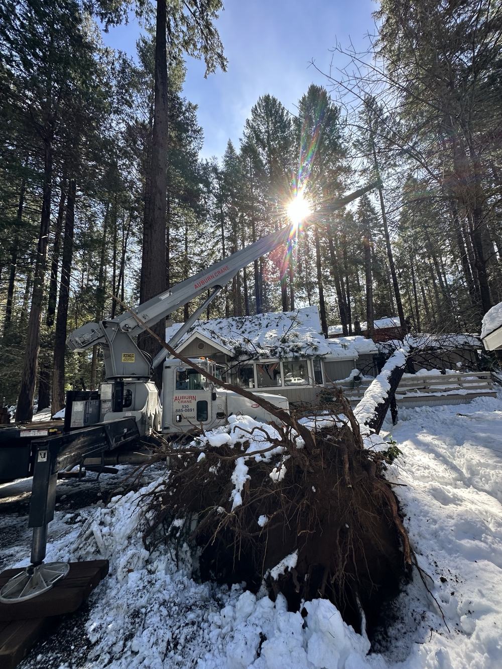 Crane positioned beside a snow-covered home with the exposed root plate of an uprooted tree in the foreground