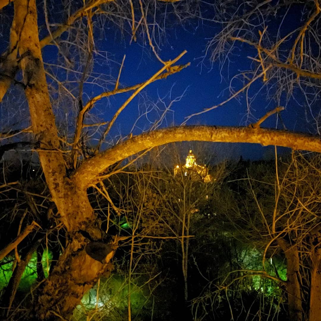 Tree pruning Auburn courthouse night