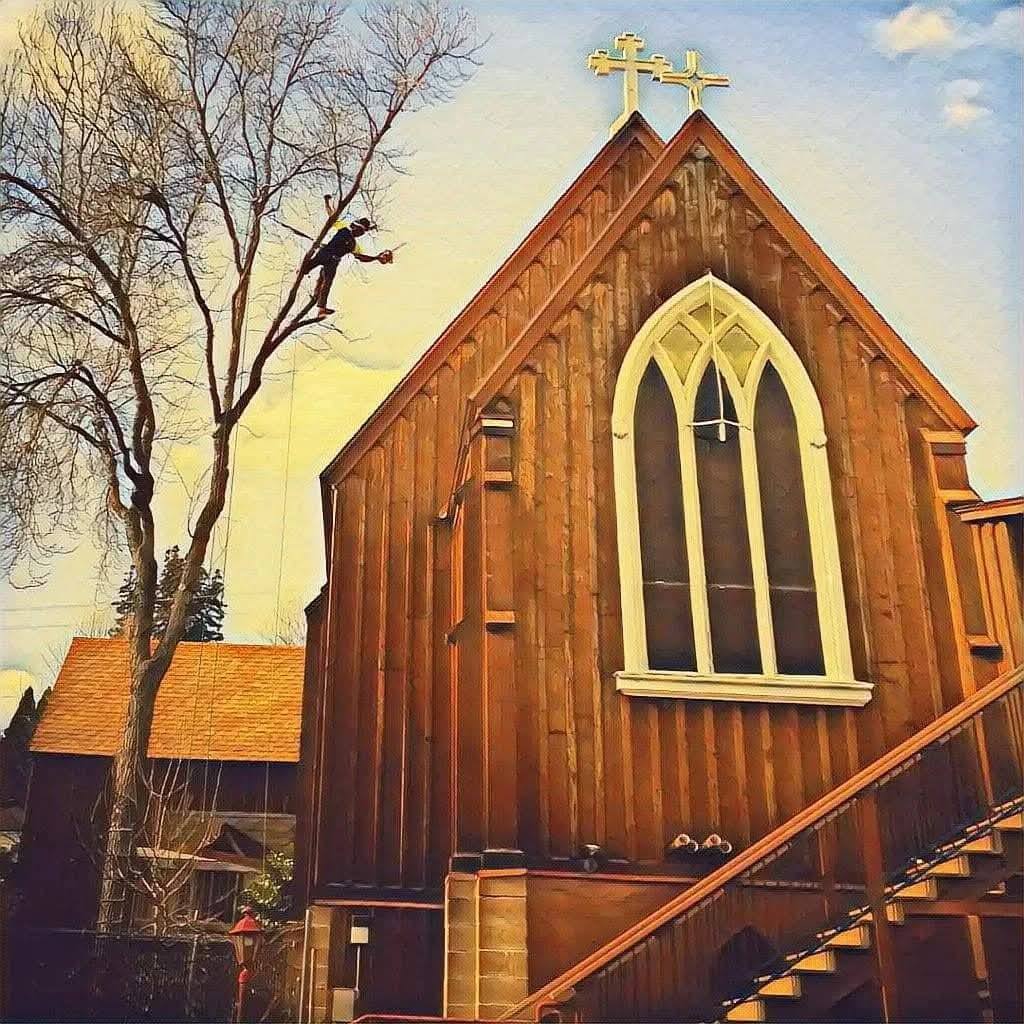 Tree pruning at church in Grass Valley CA