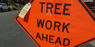 Tree work ahead Powell Arbor Solutions